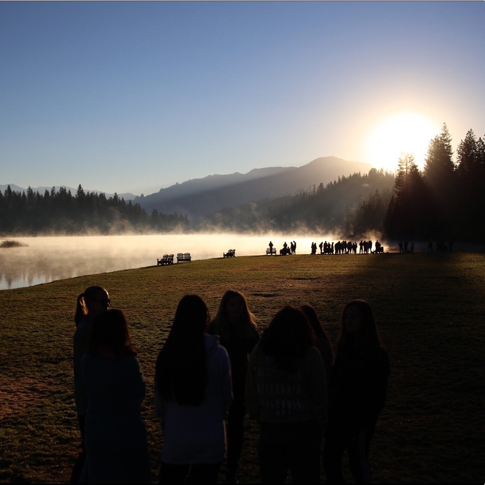 Meet your Posher, Avarie